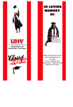 Load image into Gallery viewer, Custom Graduation Stole